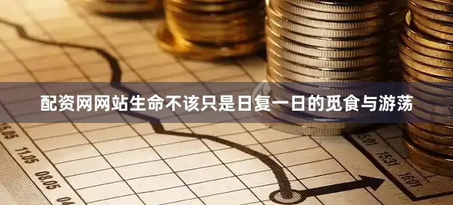 配资网网站生命不该只是日复一日的觅食与游荡