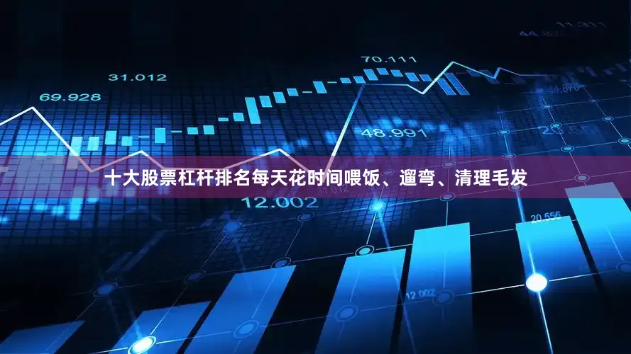 十大股票杠杆排名每天花时间喂饭、遛弯、清理毛发