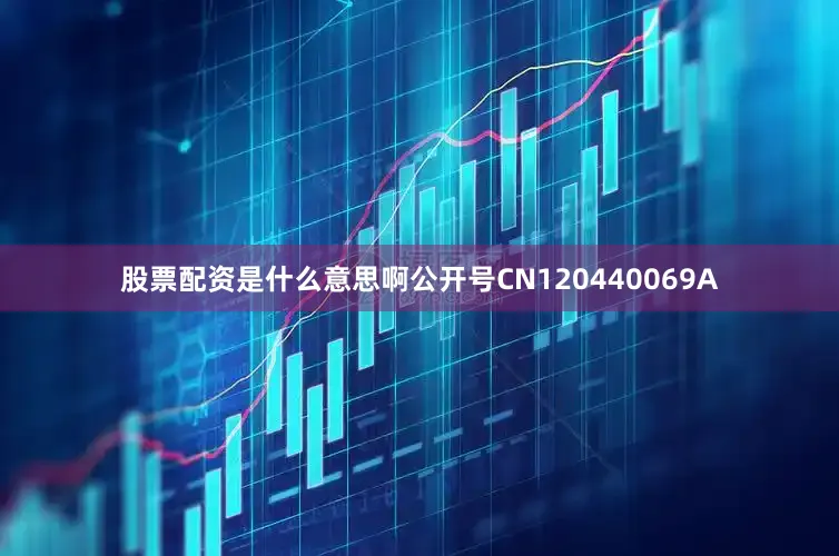 股票配资是什么意思啊公开号CN120440069A