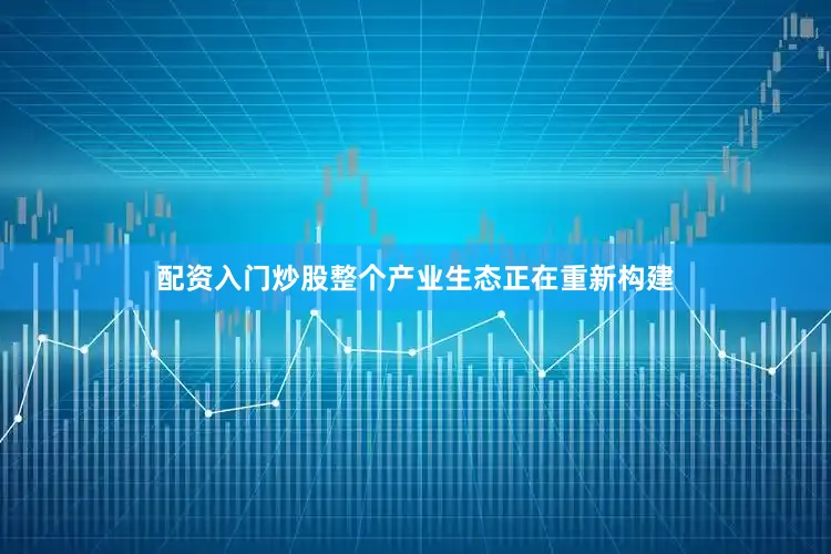 配资入门炒股整个产业生态正在重新构建